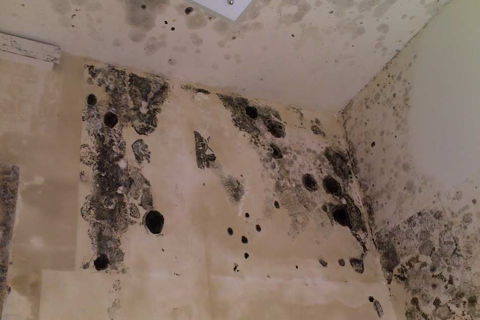 Condensation - mould problems - PCA