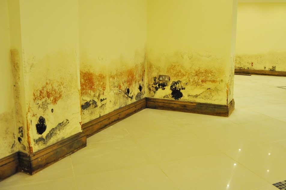 Mould Problems - due to fault in building - PCA