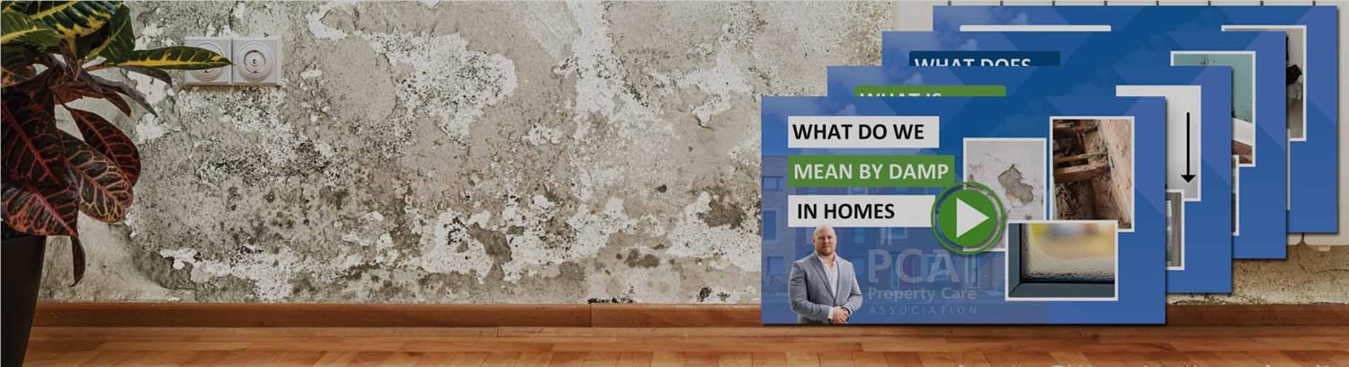 Social land local authority damp condensation mould videos -PCA