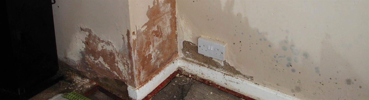 Damp proofing Banner - Property Care Association