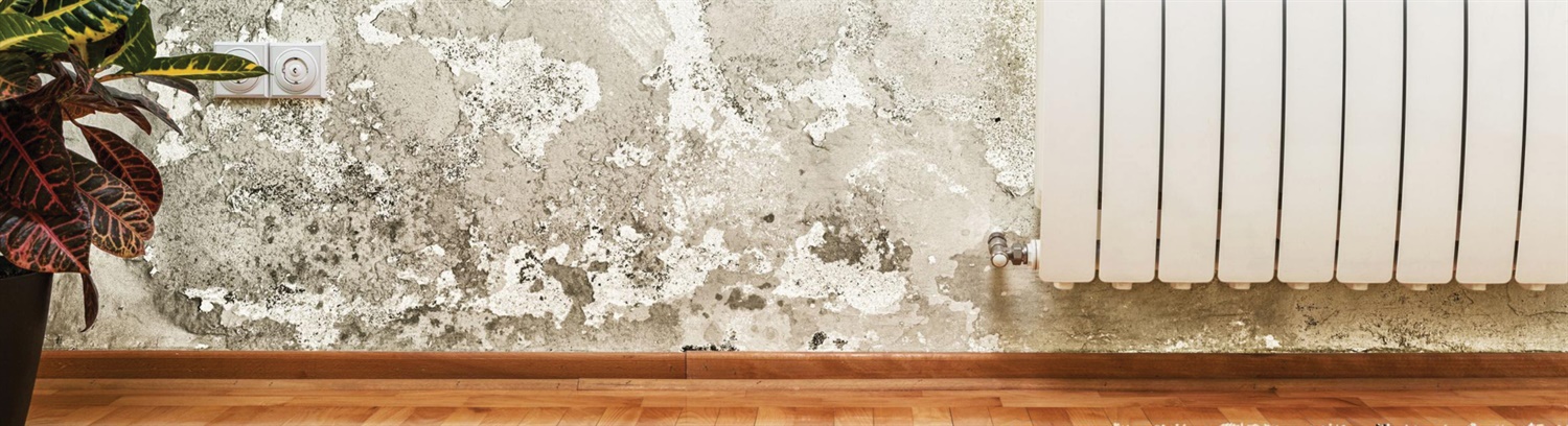 Damp problems Banner - Property Care Association