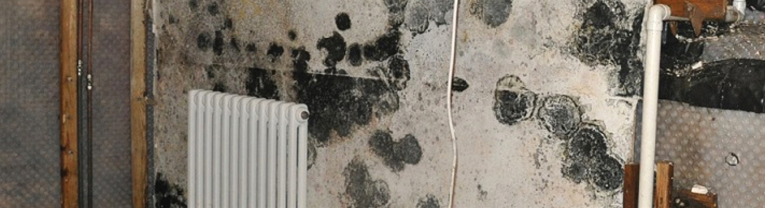 Condensation solutions - Property Care Association
