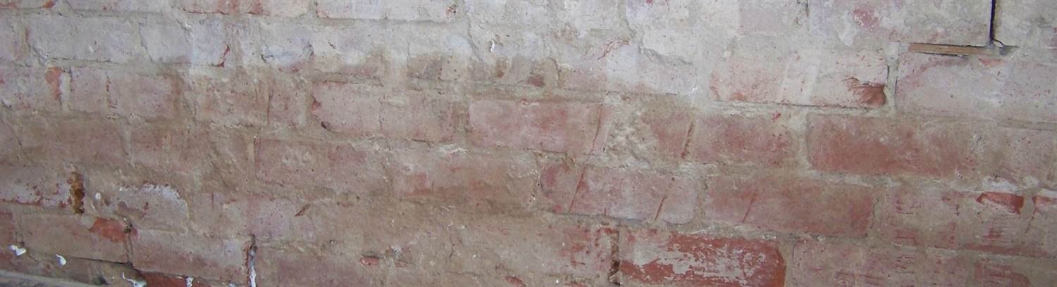 Rising damp explained - help for homeowners