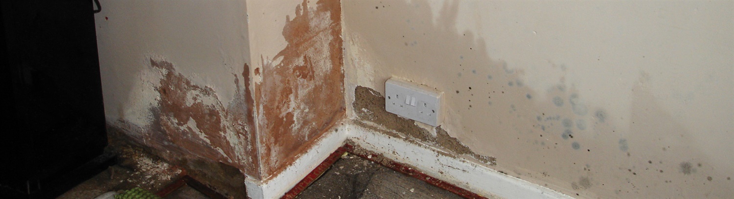 Rising Damp Treatment - Property Care Association
