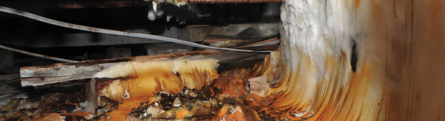 Wood rot Banner - Property Care Association